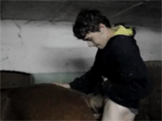 Юный зоофил трахает небольшую лошадку